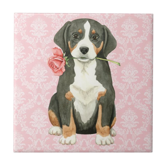 Valentine Rose Greater Swiss Mountain Dog Ceramic Tile (Front)