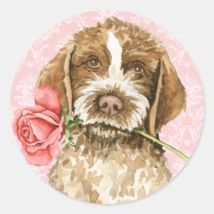 Valentine Rose Griffon Classic Round Sticker