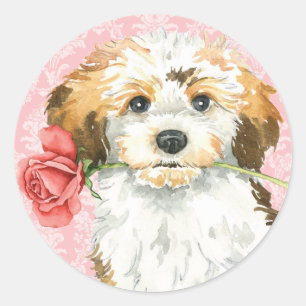 Valentine Rose Havanese Classic Round Sticker