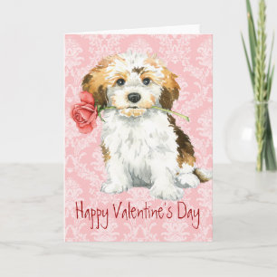 Valentine Rose Havanese Holiday Card