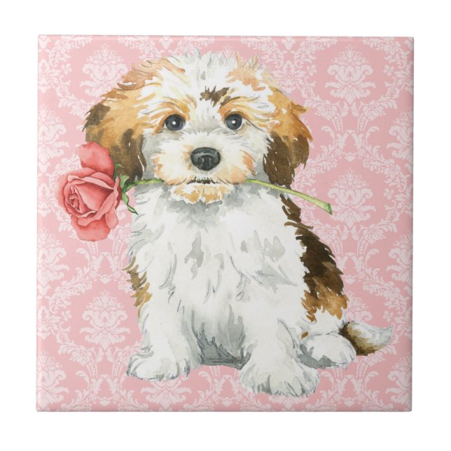Valentine Rose Havanese Tile (Front)