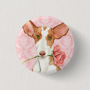 Valentine Rose Ibizan Hound 3 Cm Round Badge