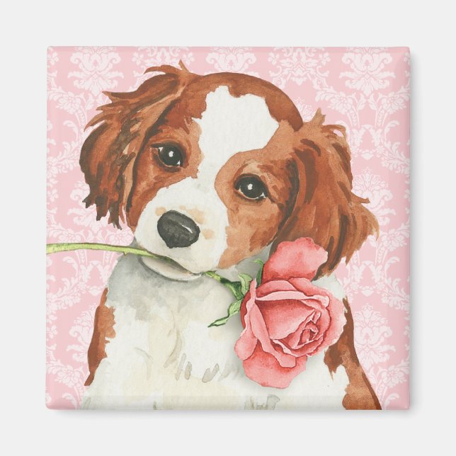 Valentine Rose Kooiker Magnet (Front)