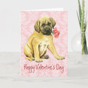 Valentine Rose Mastiff Holiday Card
