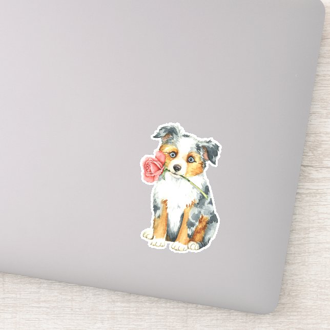 Valentine Rose Miniature American Shepherd Vinyl (Detail)