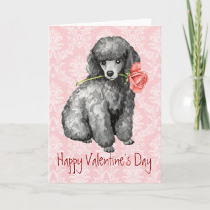 Valentine Rose Miniature Poodle Holiday Card