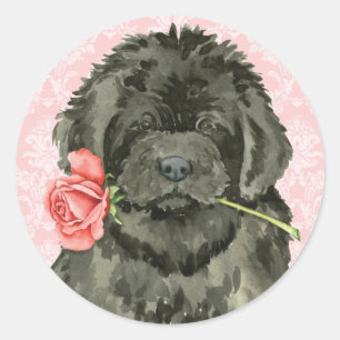 Valentine Rose Newfoundland Classic Round Sticker