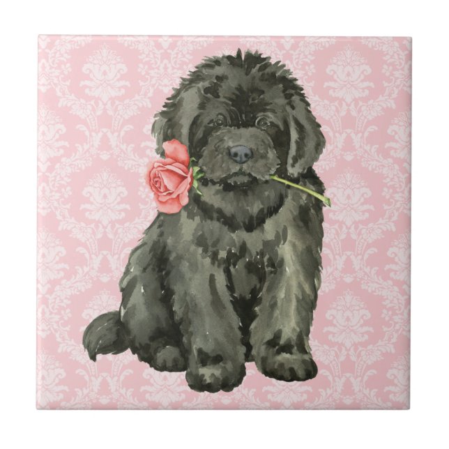 Valentine Rose Newfoundland Tile (Front)