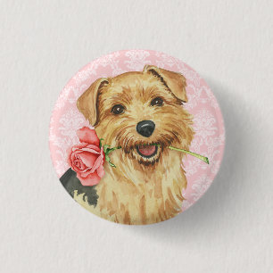 Valentine Rose Norfolk Terrier 3 Cm Round Badge