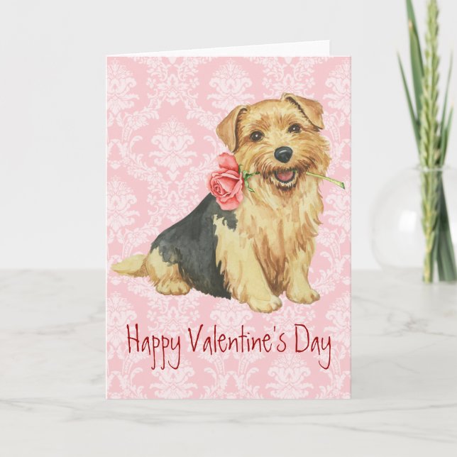 Valentine Rose Norfolk Terrier Holiday Card (Front)