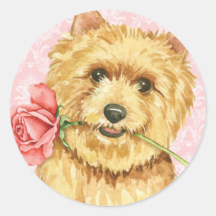 Valentine Rose Norwich Terrier Classic Round Sticker