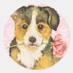 Valentine Rose Pembroke Welsh Corgi Classic Round Sticker