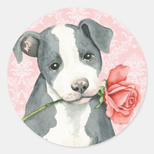 Valentine Rose Pit Bull Classic Round Sticker