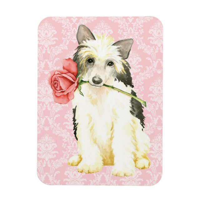 Valentine Rose Powderpuff Magnet (Vertical)