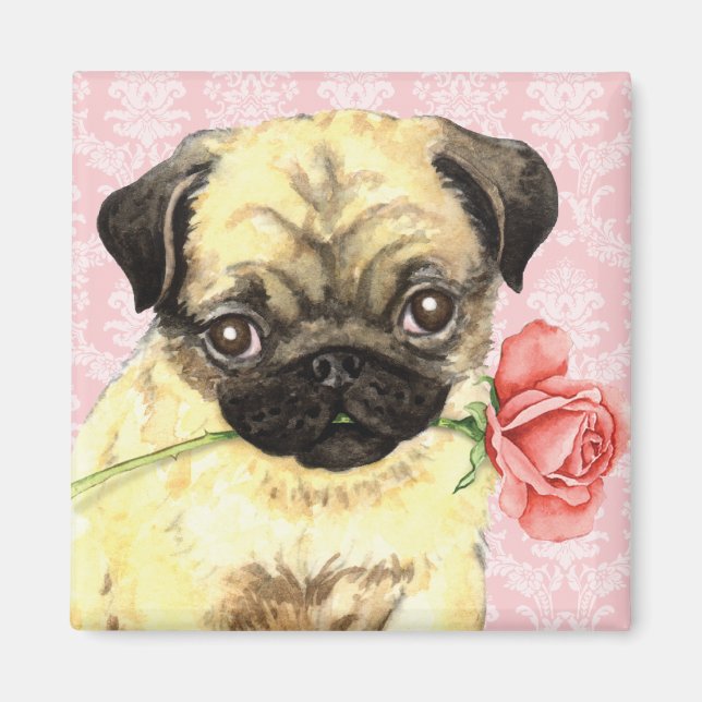Valentine Rose Pug Magnet (Front)