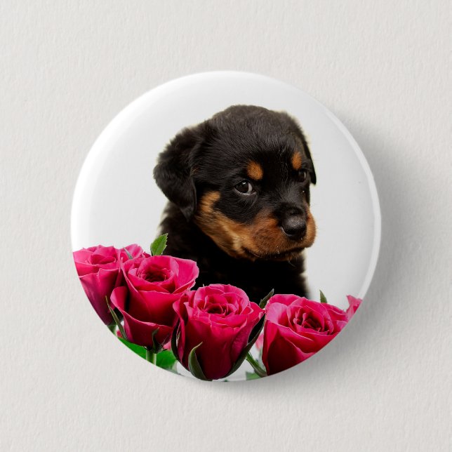 Valentine Rose Rottweiler Puppy 6 Cm Round Badge (Front)