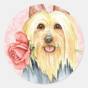 Valentine Rose Silky Terrier Classic Round Sticker
