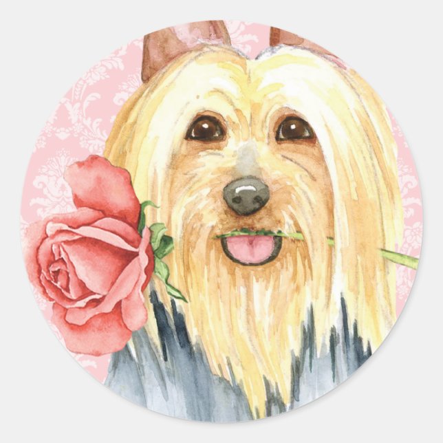 Valentine Rose Silky Terrier Classic Round Sticker (Front)