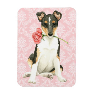 Valentine Rose Smooth Collie Magnet