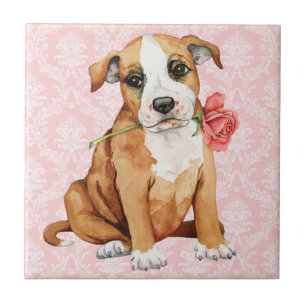 Valentine Rose Stafford Ceramic Tile