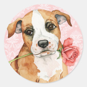 Valentine Rose Stafford Classic Round Sticker