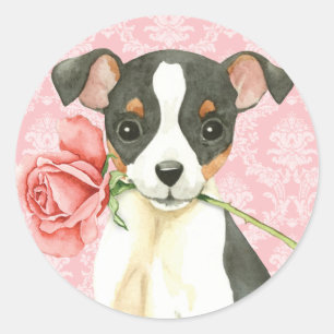Valentine Rose Toy Fox Terrier Classic Round Sticker