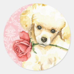 Valentine Rose Toy Poodle Classic Round Sticker