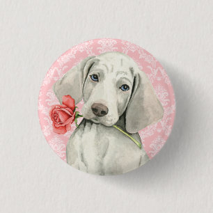Valentine Rose Weimaraner 3 Cm Round Badge