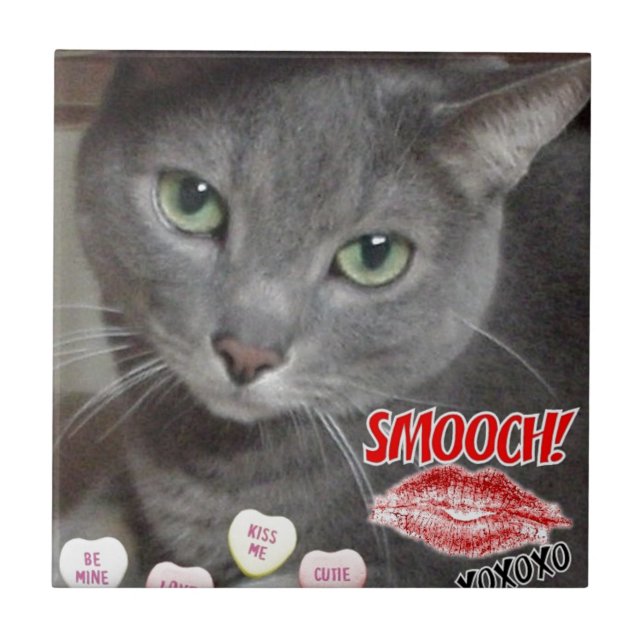 Valentine Russian Blue Cat Ceramic Tile (Front)