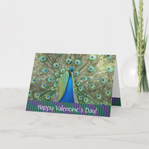 Valentine’s Day_ peacock Card