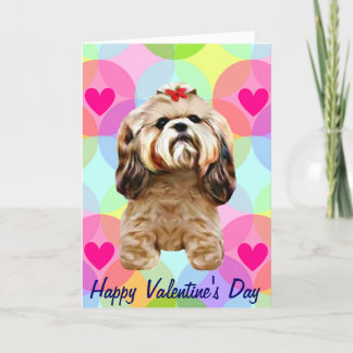 Valentine Shih Tzu Dog Holiday Card