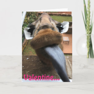 Valentine Tongue Kiss Giraffe Holiday Card