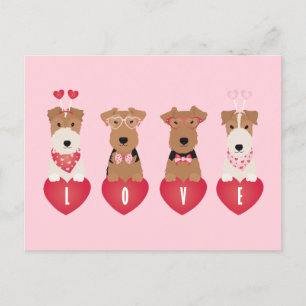 Valentine Welsh Wire Fox Terrier Dogs Postcard