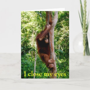 Valentine Wildlife Holiday Card