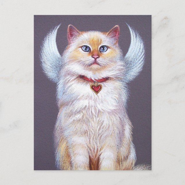 Valentine's Angel (Ragdoll cat) Holiday Postcard (Front)