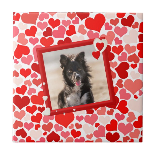 Valentines Border Collie Dog Hearts Ceramic Tile (Front)