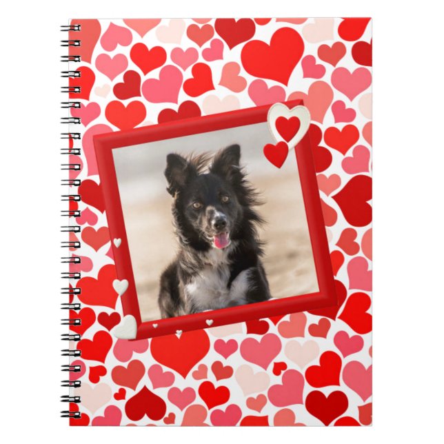 Valentines Border Collie Dog Hearts Notebook (Front)
