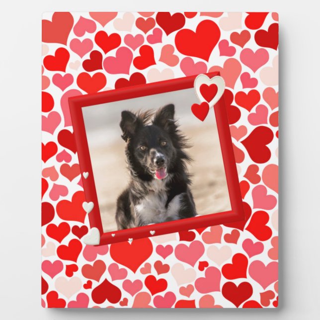 Valentines Border Collie Dog Hearts Plaque (Front)