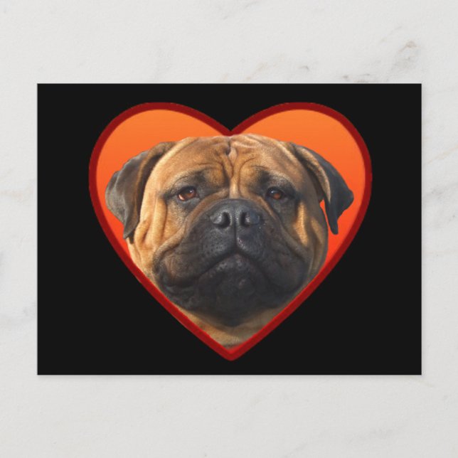 Valentine's Bullmastiff postcard (Front)