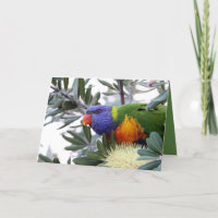 Valentine's card featuring Lorikeet