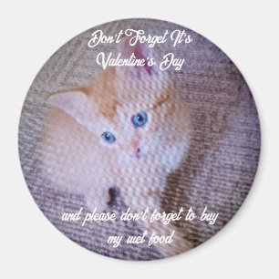 Valentine's Cat Photo Humor Text Smile Magnet