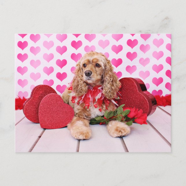 Valentines - Cocker Spaniel - Bella Holiday Postcard (Front)