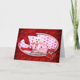 Valentines - Coton de Tulear - Sophie Holiday Card
