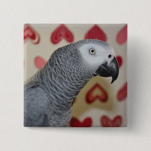 Valentine's Day African Grey Parrot Button Pin