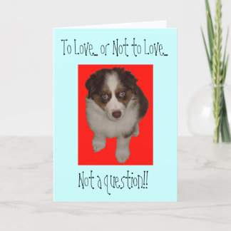 Valentine's Day Australian Shepherd dog Holiday Card