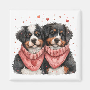 Valentines Day Bernese Mountain Dogs Magnet