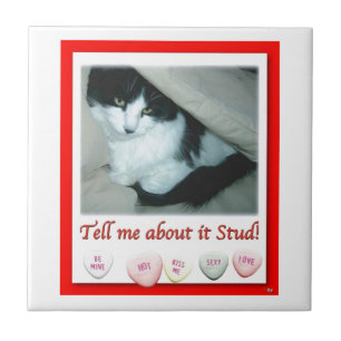 Valentine's Day Black and White Cat Ceramic Tile