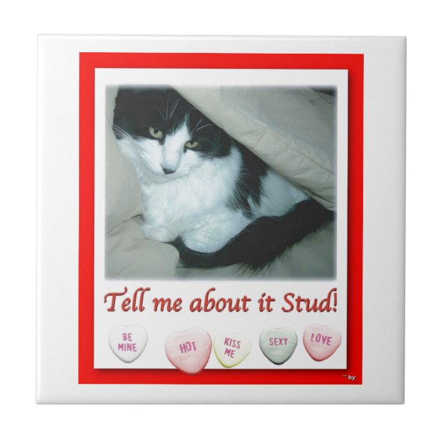 Valentine's Day Black and White Cat Ceramic Tile (Front)