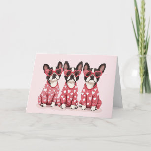 Valentines Day Boston Terrier Dogs Holiday Card