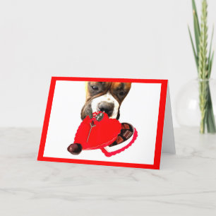 Valentine's Day Boxer with chocolates greeting car Holiday Card